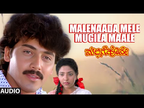 Malenaada Mele Mugila Maale Audio Song | Mallige Hoove | Ambarish, Roopini, Shashikumar | Hamsalekha
