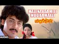 Malenaada Mele Mugila Maale Audio Song Mallige Hoove Ambarish Roopini Shashikumar Hamsalekha