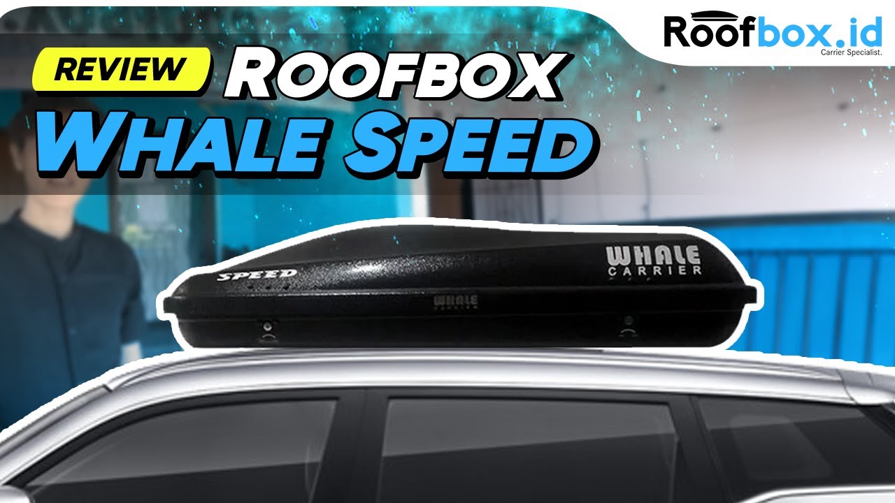 Review#roofbox Whale Speed by @roofbox.id