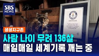 기네스에 오른 고양이