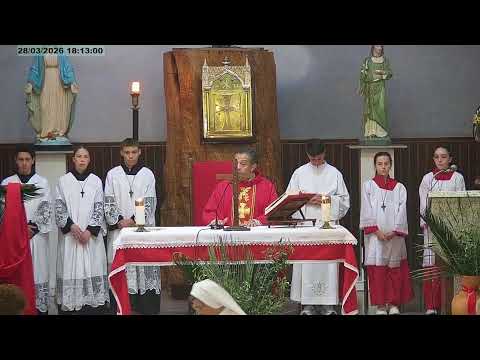 Transmissão da Santa Missa na Igreja Matriz de Santa Cecília - SC