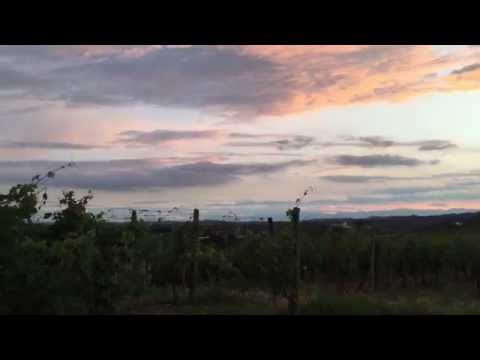 Mombaruzzo winefield scenery, Asti, Piemonte Italy