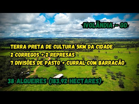 FAZENDA À VENDA EM IVOLÂNDIA GOIÁS | 38 ALQUEIRES FORMADA, RICA EM ÁGUA, PRONTA PARA GADO!