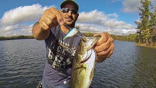 Fall Bass Fishing with my Mystery Tackle Box Pro Box!!!