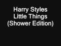 Harry Styles Little Things Shower Edition 