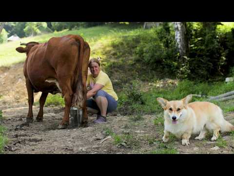 Dağ Mutluluğu. Uzak Bir Köyde Izgara Dışında Yaşayan Bir Ailenin Hayatından Bir Gün