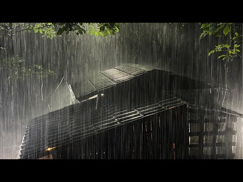 Dormir en menos de 3 minutos con lluvia intensa y truenos en el techo de metal de una granja por la