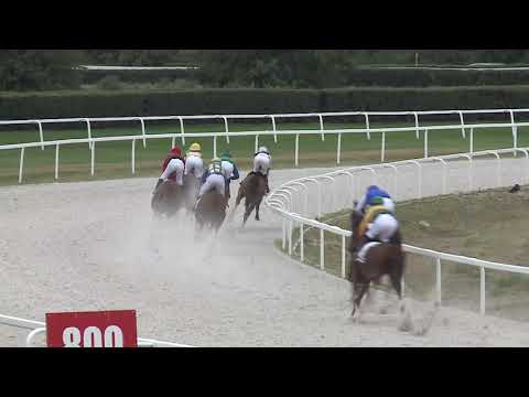 2020.08.09. 02. futam - BOGÁRZÓI HENDIKEP (V/b.) (szintetikus pálya)