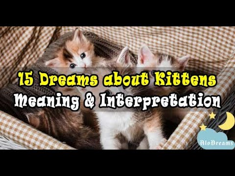 Kittens - Dream Meaning & Interpretation
