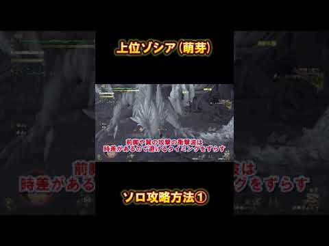 上位ゾシア（萌芽）ソロ攻略方法①!!【モンスターハンターワイルズ】＃shorts