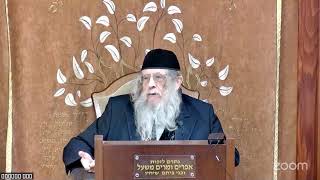 הרה"ג הרב וועכטר שליט"א כ"ז שבט תשפ"ה - מאמר הרבי תשד"מ ד"ה בלילה ההוא נדדה שנת המלך חלק ח (הרב אברהם מנחם מענדל וכטר) - התמונה מוצגת ישירות מתוך אתר האינטרנט יוטיוב. זכויות היוצרים בתמונה שייכות ליוצרה. קישור קרדיט למקור התוכן נמצא בתוך דף הסרטון