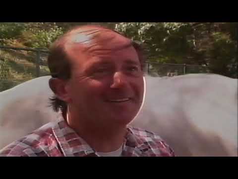 1991 VRC FLEMINGTON Oaks Day Race 1 - 4