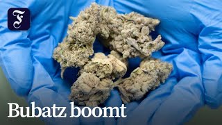 Markt für medizinisches Cannabis floriert