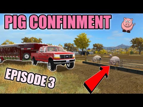 BUYING PIGS | HAULING LIVESTOCK | MULTIPLAYER | FARMING SIMULATOR 2017