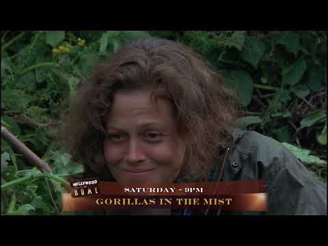 Hollywood at Home: Gorillas in the Mist PREVIEW