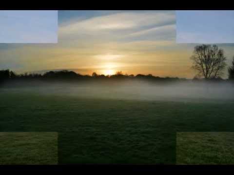 Bronwen Lewis - Fields of Gold