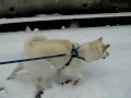 ���߂Ă̑���