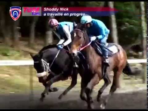 FLOREAL NEWS - RACE MEETING 21 (19.08.2016)