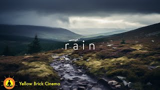 Deep Sleep Music, Insomnia, Calming Music, Meditation Music, Thunderstorm Sounds for Sleeping, Rain