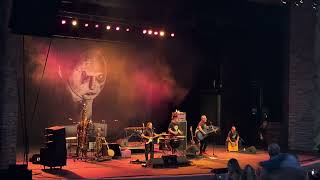 Violent Femmes - I Hear the Rain - Live
