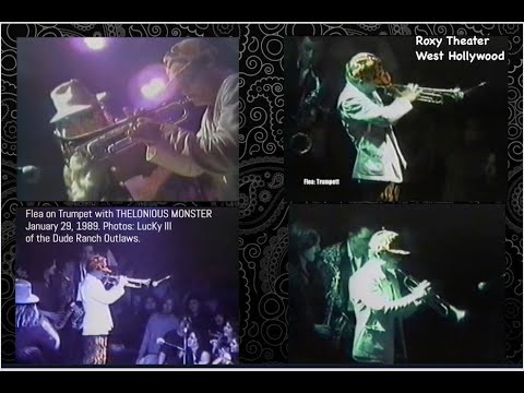THELONIOUS MONSTER at the Roxy 1989. With Flea on Trumpet and the late Rob 'Graves' Ritter on Bass.