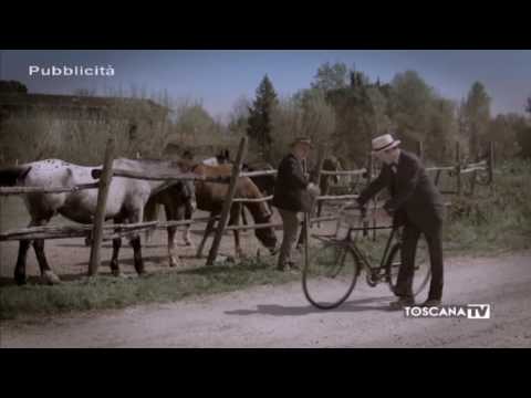 2017-05-03 PRATO DIRETTA SERA