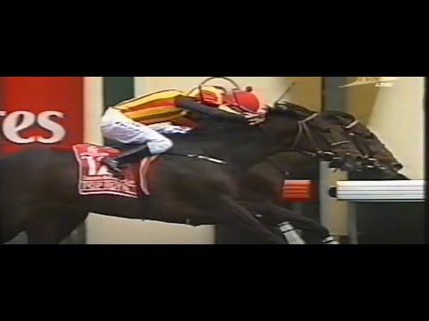 2006/2007 Season (4/8) VRC Derby Day - Sandown Classic