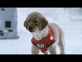 Snow Buddies 2008 ORIGINAL TRAILER