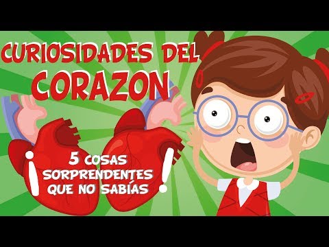 5 COSAS QUE NO SABÍAS DEL CORAZÓN | CURIOSIDADES FASCINANTES PARA NIÑOS