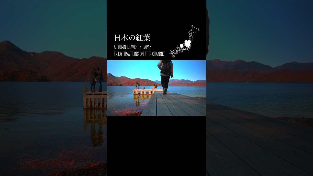 日本の紅葉名所6選／Autumn leaves in Japan #travel  #japan  #紅葉  #shorts  #絶景 #秋