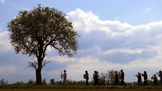 Pierre Perret - Bientôt