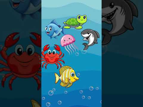 Witness21 Editor  2024 08 28