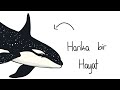 What If You Were Born As A Killer Whale Orca