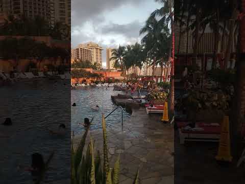 Sheraton Waikiki Rock Swimming Pool. Like and Subscribe! ♥️