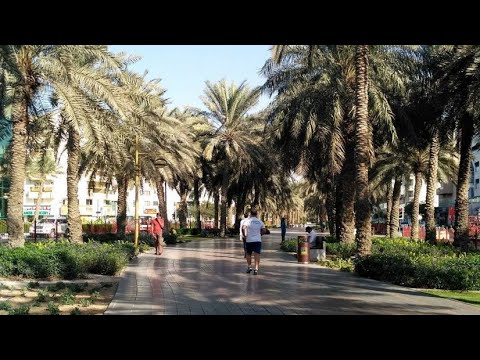 Dubai all muteena park |  tour by cycle  | Dubai main all muteena park | 24 , 8 ,2021