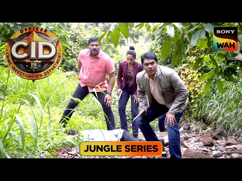 CID हुई Fox Hunting के Case में Confuse | CID | सी.आई.डी. | Jungle Series