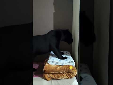 OMG 😱//Anvi and Ditvi