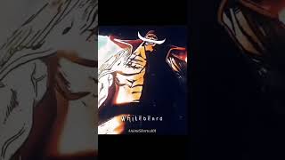Download lagu #whitebeard #shirohige #xebec #kaido #kaidoedit mp3