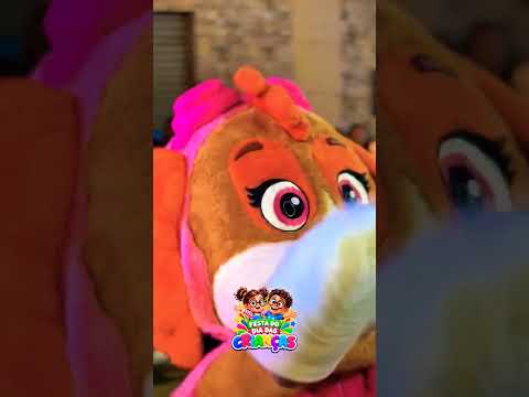 festa das crianças em itaquitinga pe