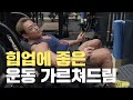 질문하신 운동 가르쳐드립니다. 엉덩이 운동 & 이두컬ㅣIFBB 프로 보디빌더 김준호 선수 생방송 Q/A
