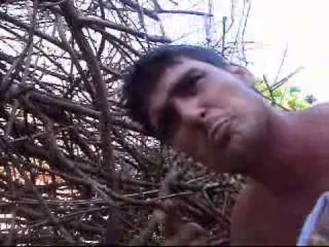 Junin QNC - Lá Fora