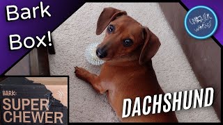 What's in this Bark Box? My Dachshund loves it!