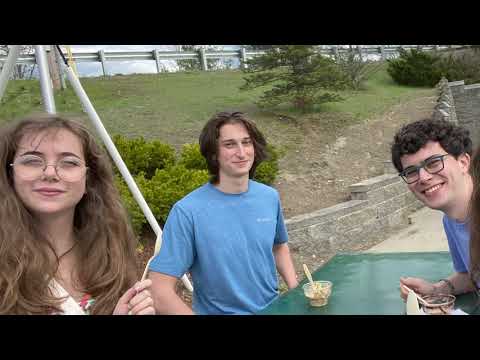 Landslide  - Dodecs 21S