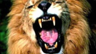 Joe Gibbs And The Professionals - Ghetto Slum