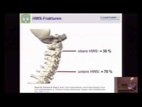 08/17 - Rekonstruktion und Stabilisierung von Wirbelsäulenverletzungen