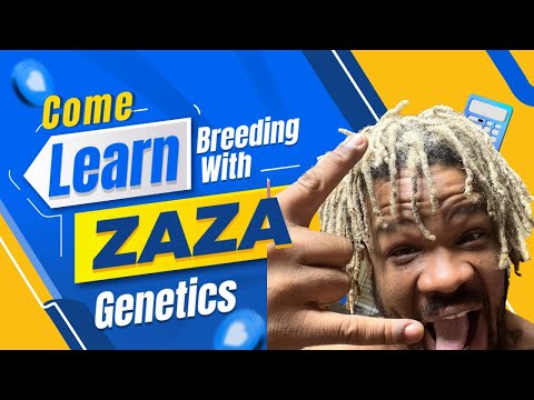 ZAZA Seed Breeding 101 A Beginner's Guide to Getting Started