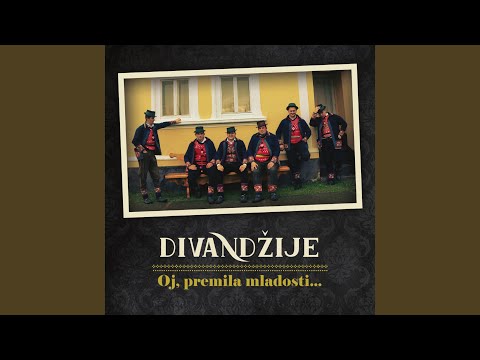 Poranile Dv'Je Djevojke Mlade