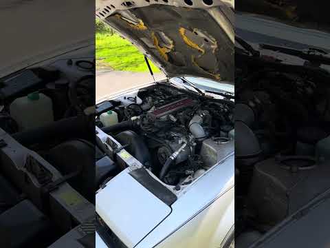 1984 Datsun 300ZX (CC-2073497) for sale in Ontario, New York