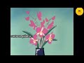 Shin Chan Tamil New Episode ️ Shinchan Tamil 2024 Tamil Shinchan Shinchan Tamil Newepisode