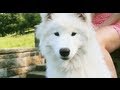 Kellee Maize - La La Love 